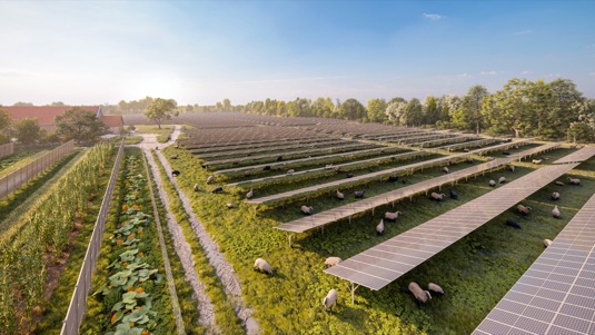 Nová fotovoltaická solární elektrárna o výkonu 11,5 MW má zásobit celkem 15 200 domácností.