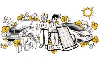 Snímek Biomasakr názorně ukazuje dopady pěstování řepky na českou krajinu, půdu, vodu a zdraví a na možnosti využití solární energie.